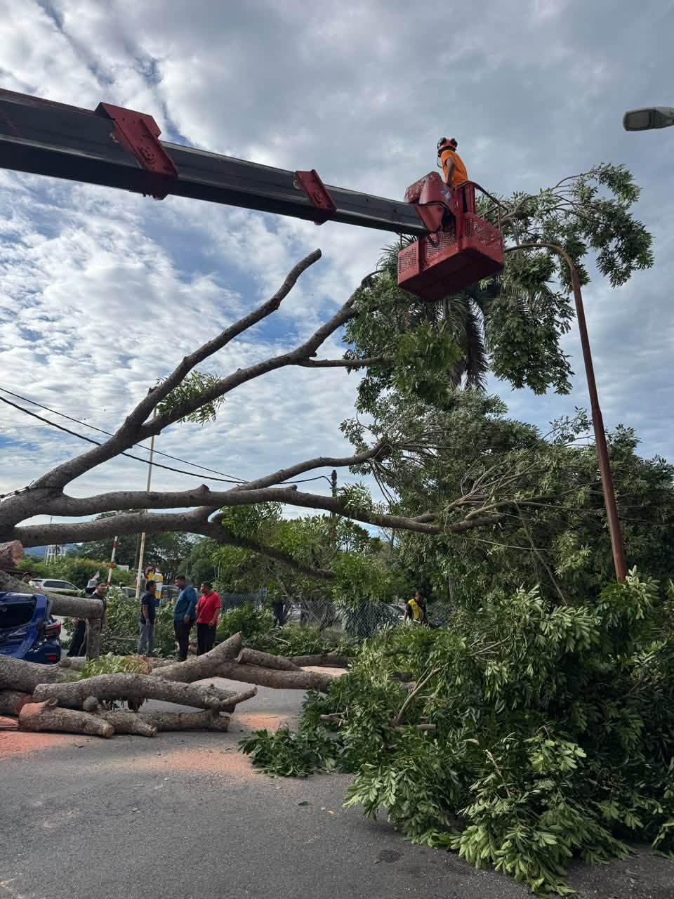 Insiden Pokok Tumbang Di Taman Sena Indah