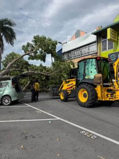 Insiden Pokok Tumbang Di Taman Sena Indah